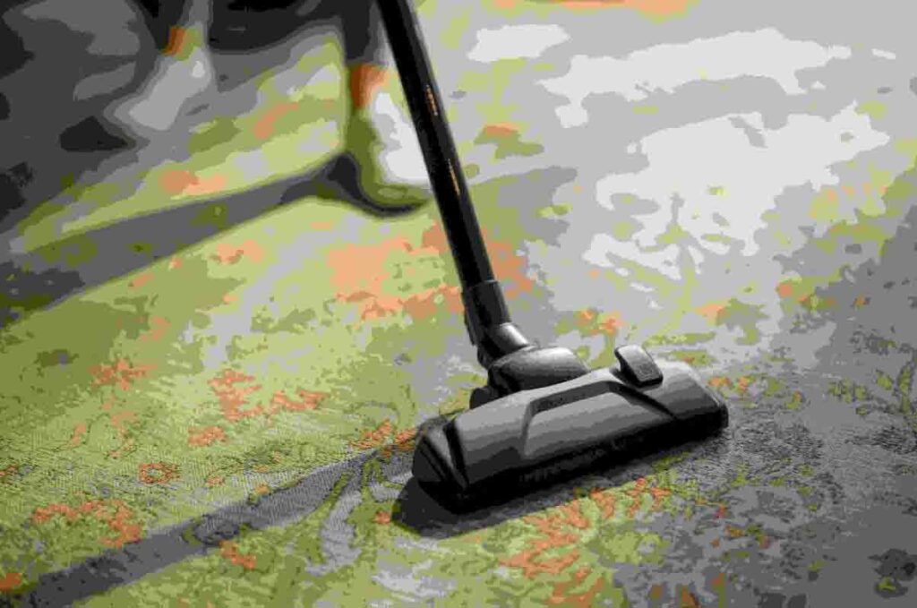 How to Choose the Best Carpet Cleaner Rental